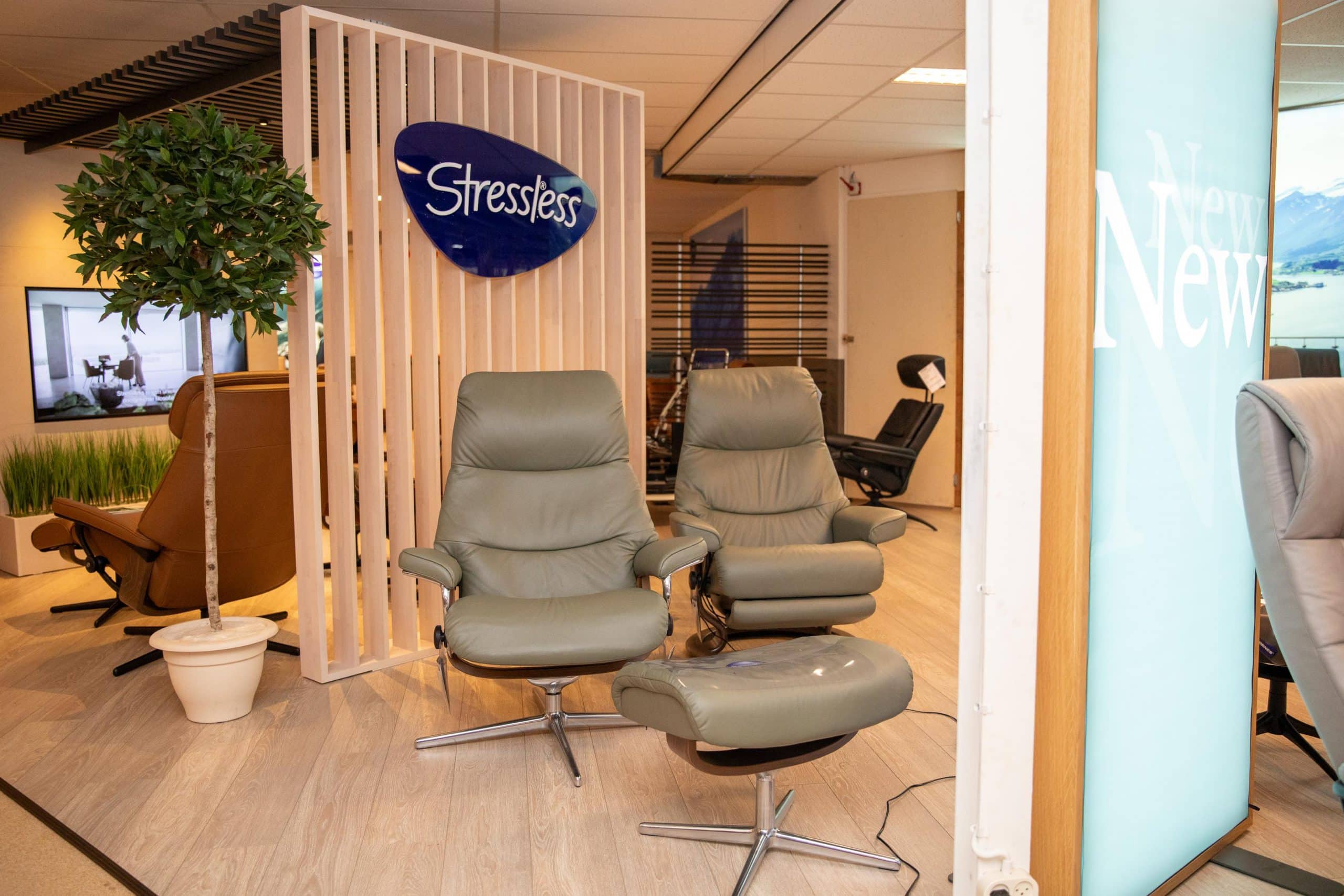 stressless-view